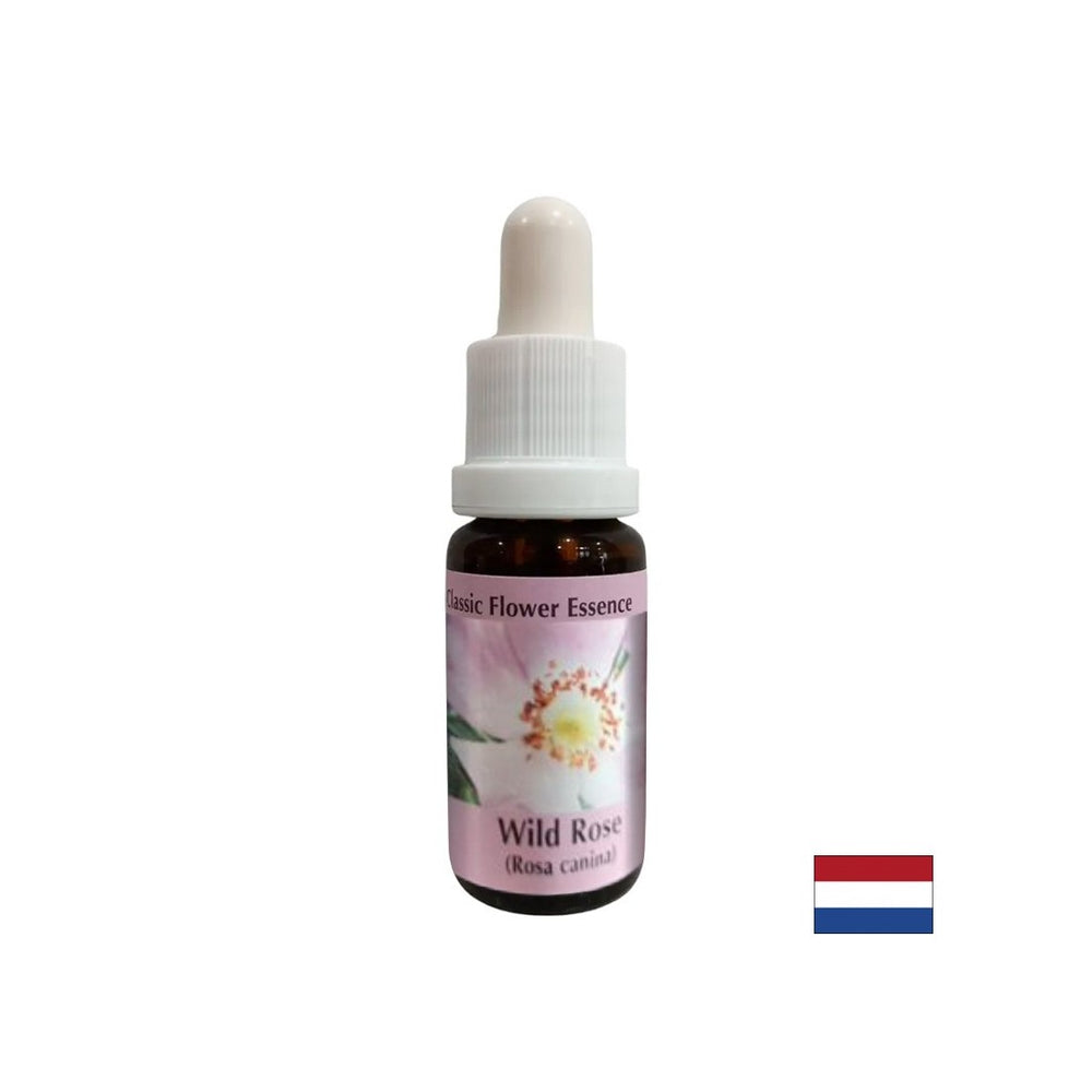 Povećava aktivnost i motivacija - Essence Rosehip br. 37, padne 15 ml