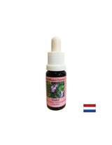 Prevladava nelagoda odbacivanja i usamljenosti - Essence Fiber Violet br. 18, pada 15 ml