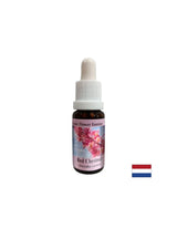 Kada se brine za druge - Crveni konji kesten Essence br. 25, pada 15 ml