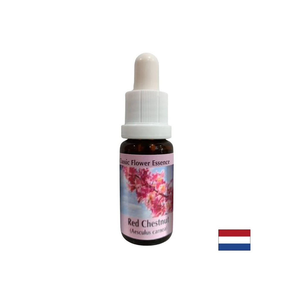 Kada se brine za druge - Crveni konji kesten Essence br. 25, pada 15 ml