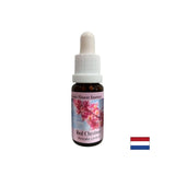 Kada se brine za druge - Crveni konji kesten Essence br. 25, pada 15 ml