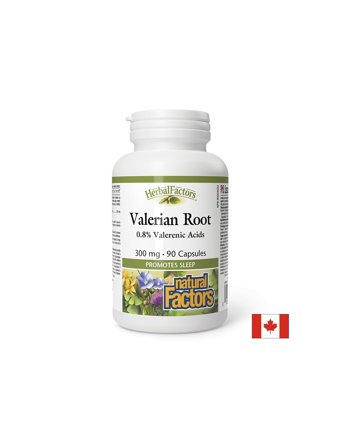Valerian korijen 300 mg - 90 kapsula