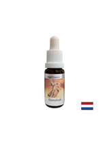 Za probleme s odnosima - Damabia Essence (Angel Essence br. 5), padne 15 ml