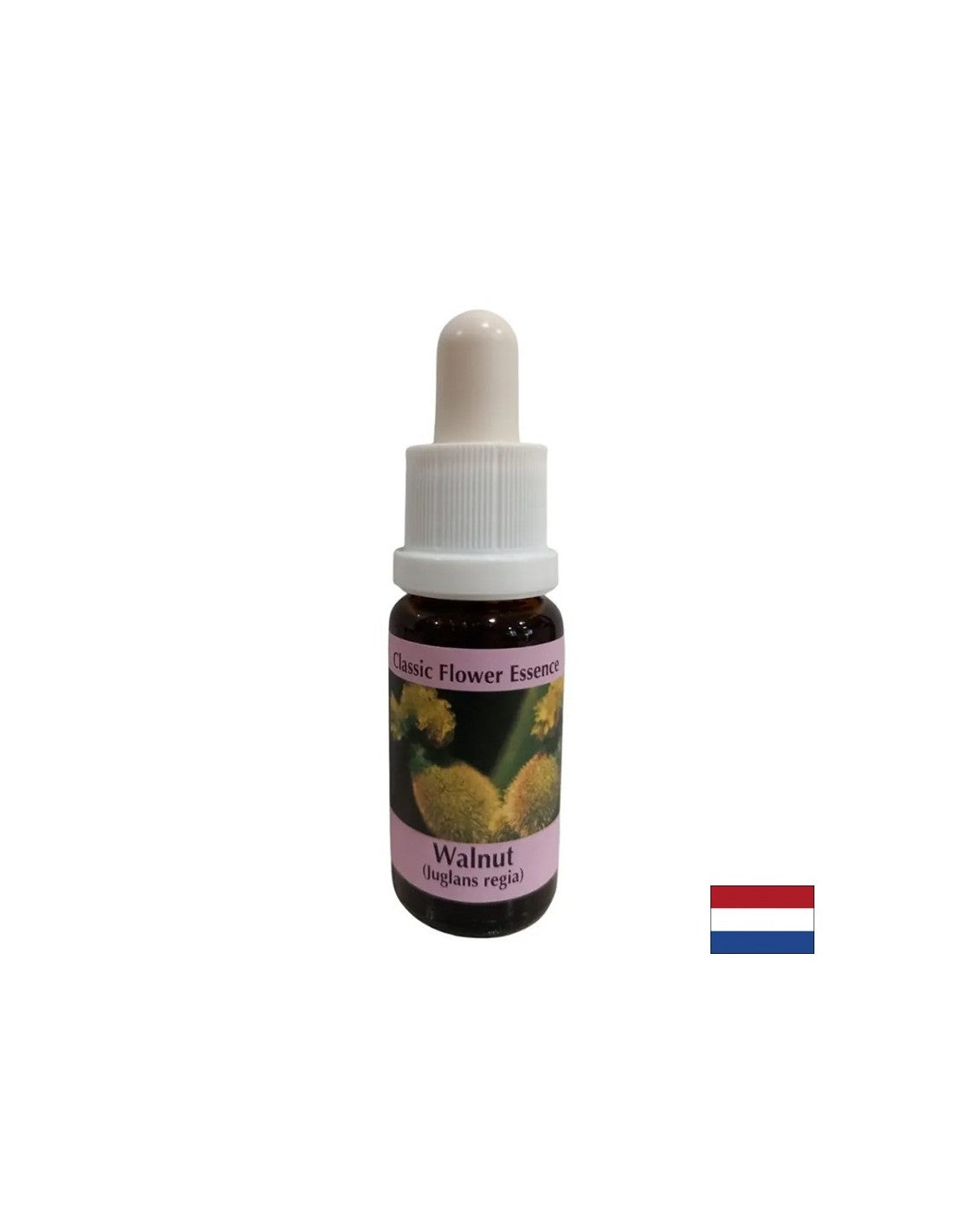 Nakon promjene - Walnut Essence br. 33, padne 15 ml