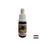 Nakon promjene - Walnut Essence br. 33, padne 15 ml