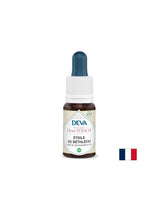 Za stres i šok - zvijezda Betlehema (vrana luk), Bach kapi, 15 ml