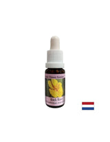 Pojašnjava um u slučaju straha i panike - Heintemum Essence (žuta) br. 26, pada 15 ml