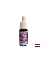 Proširuje svijest i poboljšava komunikaciju - Angel Orchid Essence br. 3, pada 15 ml