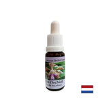 Stvara raspoloženje i radost - Essence Veseli orhideja br. 11, kapi 15 ml