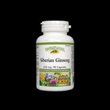 Sibirski ginseng 250 mg - 90 kapsula