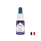 Mirne noći, Bach metoda pada br. 2, 15 ml