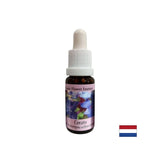 Stimulira intuiciju i odlučivanje - Essence Ceratosigma (vosak) br. 5, padne 15 ml
