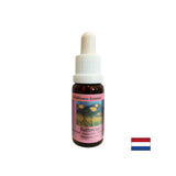 Stimulira samopoštovanje - leptir esencija br. 26, padne 15 ml