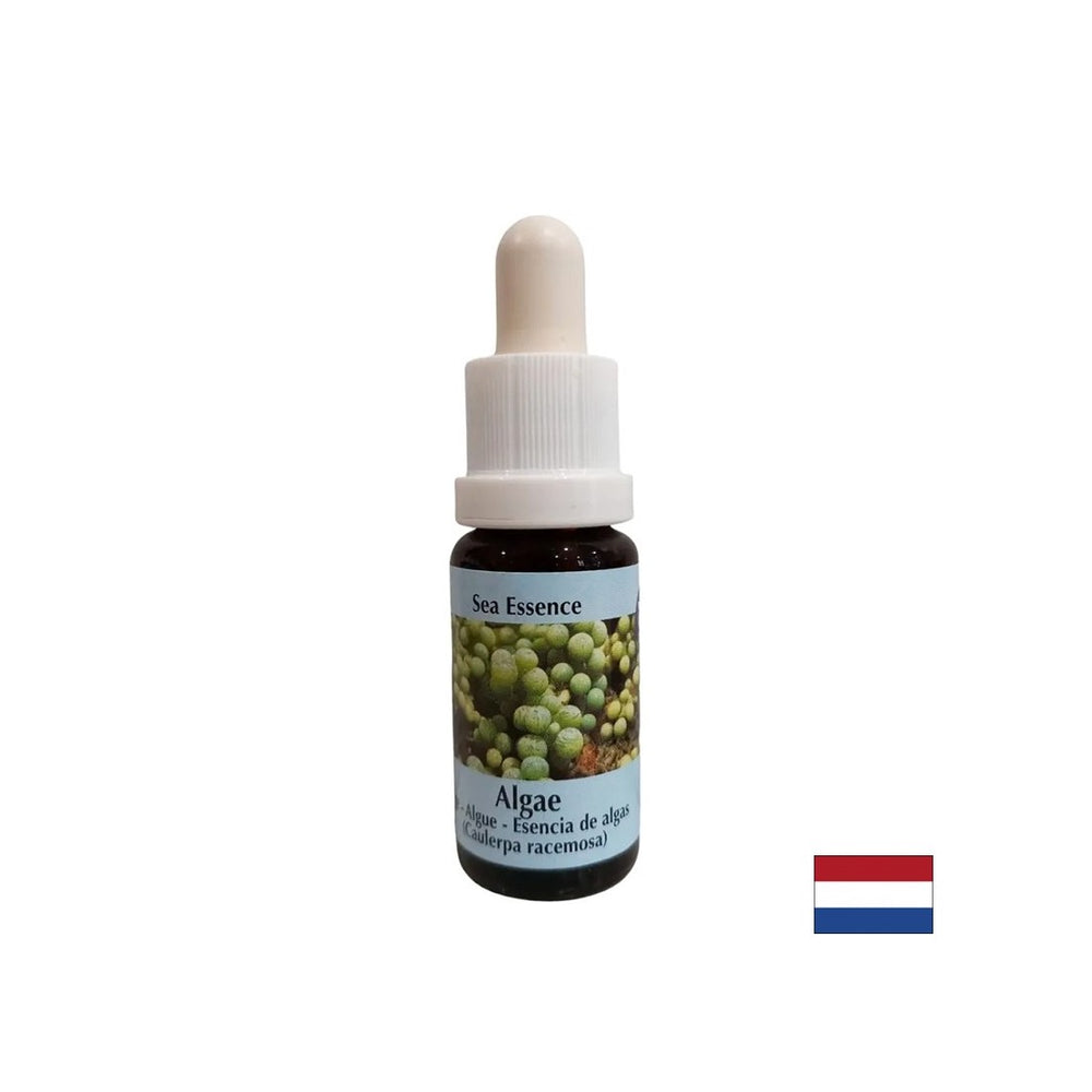 Stimulira samoizlječenje - alge esencija br. 1, padne 15 ml