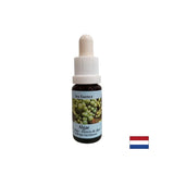 Stimulira samoizlječenje - alge esencija br. 1, padne 15 ml