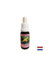 Stimulira svjesnu promjenu - Essence White Mistletoe br. 12, kapi 15 ml