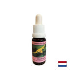 Stimulira svjesnu promjenu - Essence White Mistletoe br. 12, kapi 15 ml