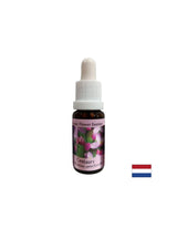 Stimulira volju - St. John's Wort Essence br. 4, pada 15 ml