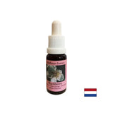 Stimulira vitalnost i aktivira kreativnost - esencija kupine br. 22, padne 15 ml