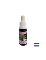 Povezuje unutarnji svijet sa stvarnošću - Essence Povet br. 9, kapi 15 ml