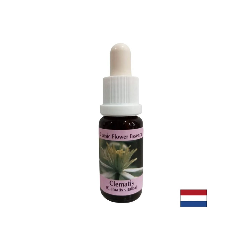 Povezuje unutarnji svijet sa stvarnošću - Essence Povet br. 9, kapi 15 ml