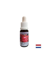 Pretvara sebičnost u ljubav - orhideja srca Essence br. 12, kapi 15 ml