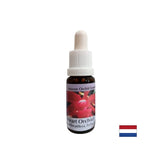 Pretvara sebičnost u ljubav - orhideja srca Essence br. 12, kapi 15 ml