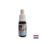 Jača koheziju i jasnoću pri odabiru partnera - morska anemona Essence br. 6, padne 15 ml