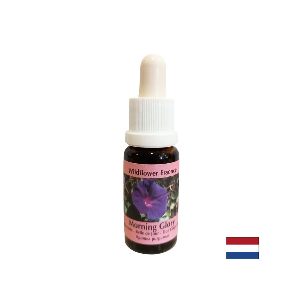 Smiruje anksioznost i iskorijeni negativne navike - gramofonska esencija br. 34, padne 15 ml
