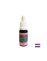 Obnavlja ritam i podržava adaptaciju - Sage Essence br. 36, padne 15 ml
