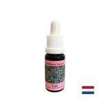 Obnavlja ritam i podržava adaptaciju - Sage Essence br. 36, padne 15 ml