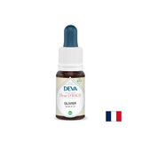 Visoki kolesterol i energija - maslina, bach kapi, 15 ml