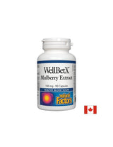 WellBetx Ekstrakt mulberstva 100 mg - 90 kapsula