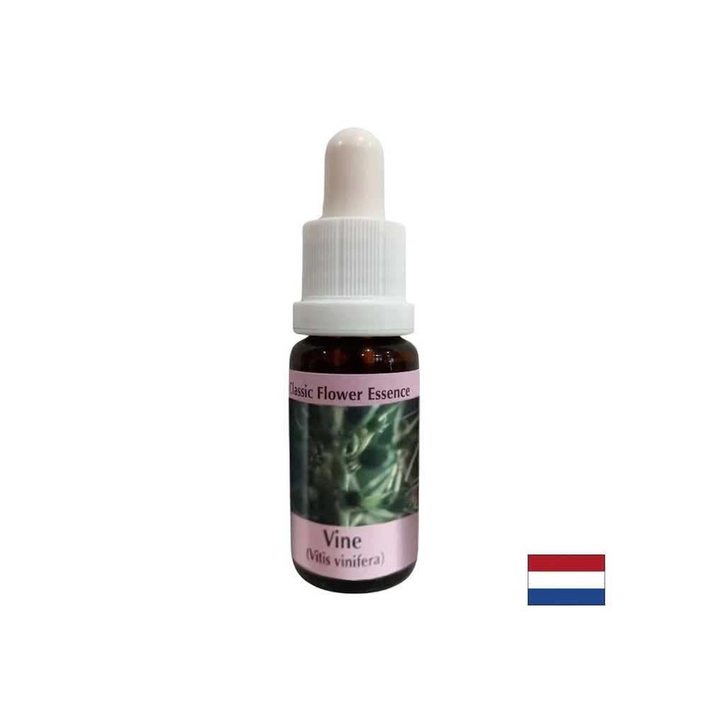 Za kontrolu sebičnosti - Essence grožđa br. 32, padne 15 ml