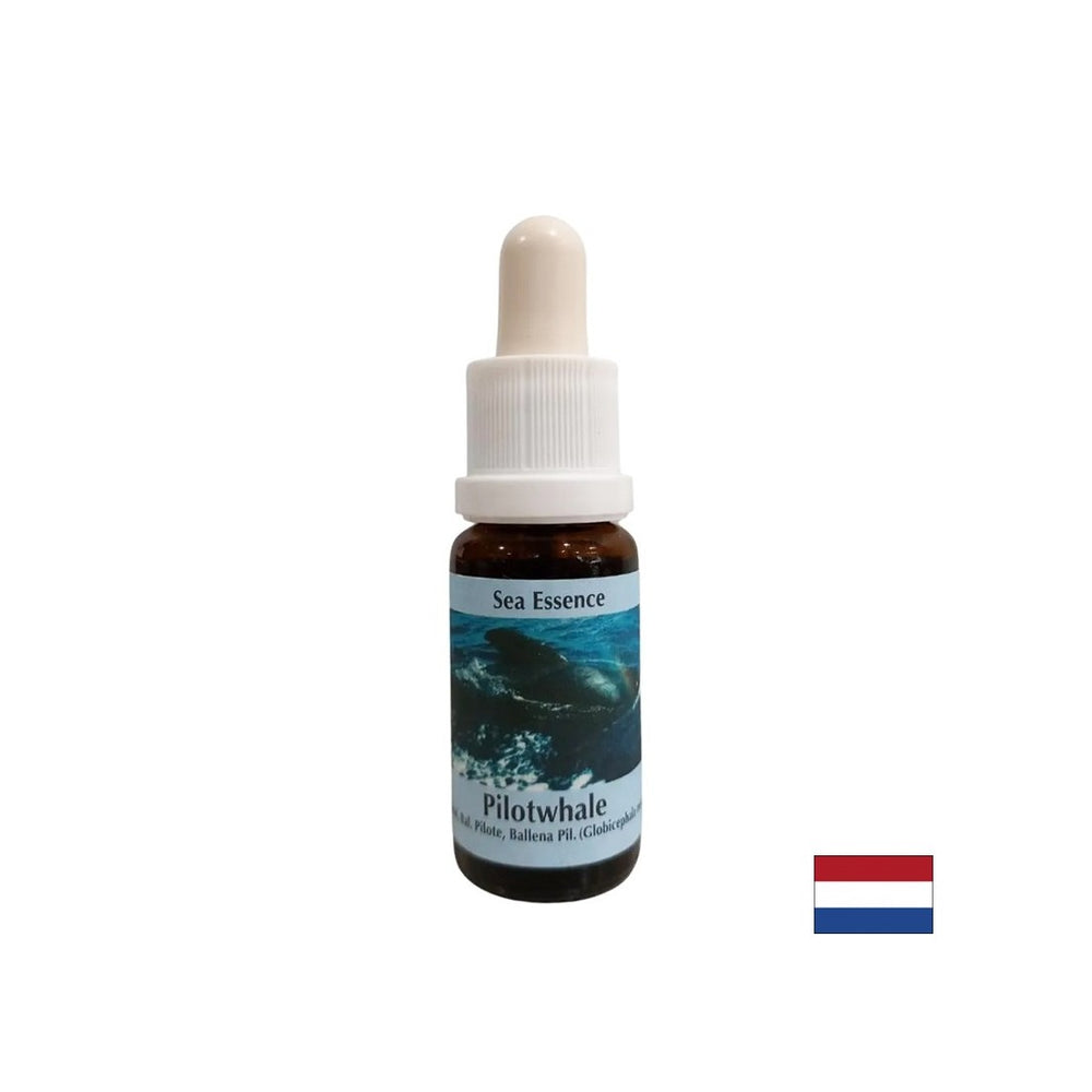 Za meditaciju - Essence Black Grind br. 10, pada 15 ml