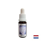 Za pronalaženje pravih riječi - Essence Mechiel (Angel Essence br. 16), pada 15 ml
