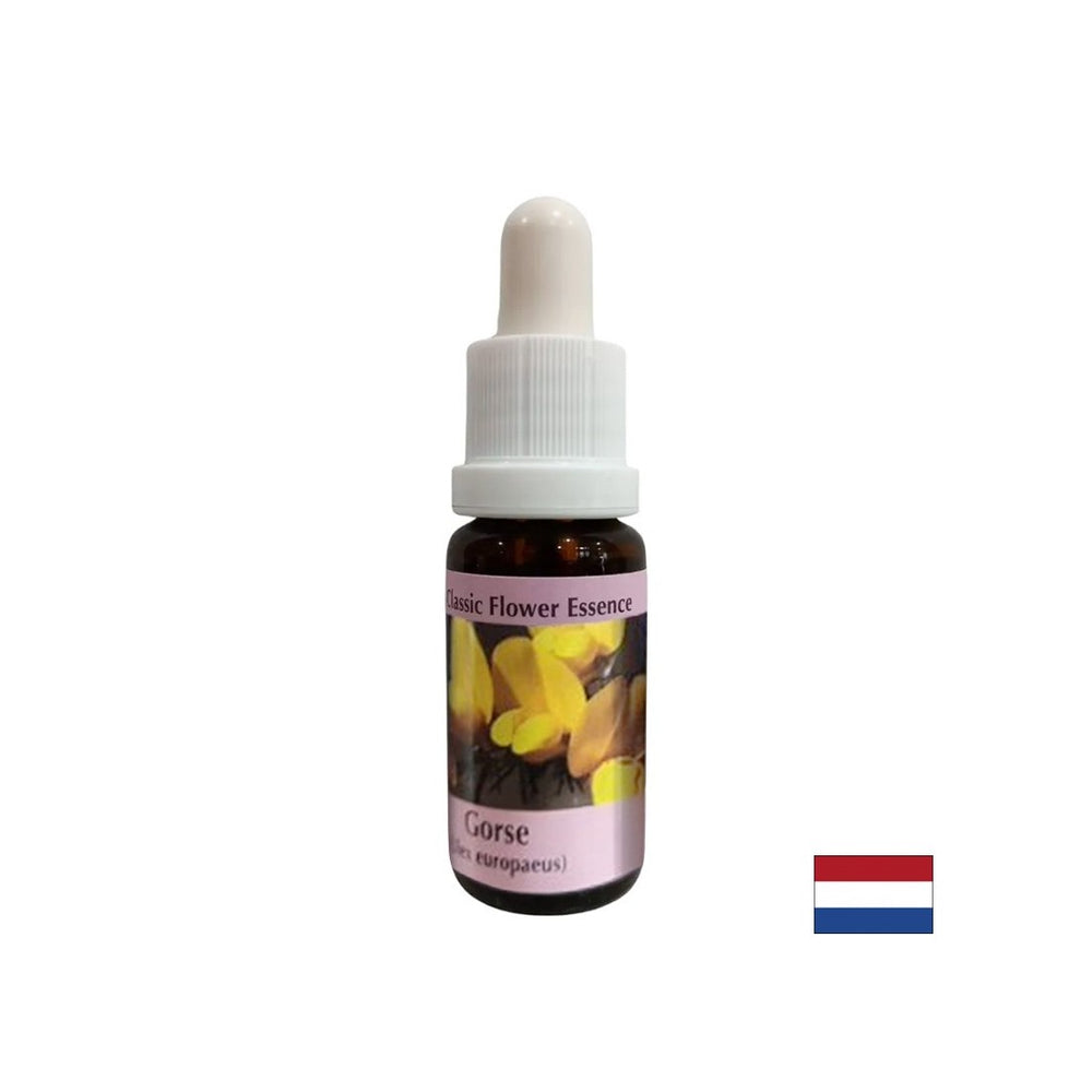 Za novi početak - Essence Preshtip br. 13, pada 15 ml