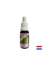 Za više energije i motivacije - Hornbeam Essence br. 17, pada 15 ml