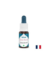 Za verbalnu ekspresiju - Dogwood (Antirrhinum), Bach kapi, 15 ml