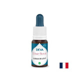 Za verbalnu ekspresiju - Dogwood (Antirrhinum), Bach kapi, 15 ml