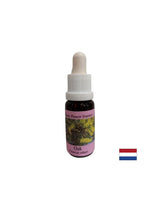 ENERGIZIS - OAK ESSENCE br. 22, kapi 15 ml