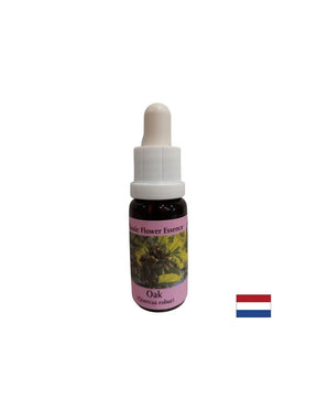 Energizes - Oak Essence No. 22, drops 15 ml - Nutra Best Europe