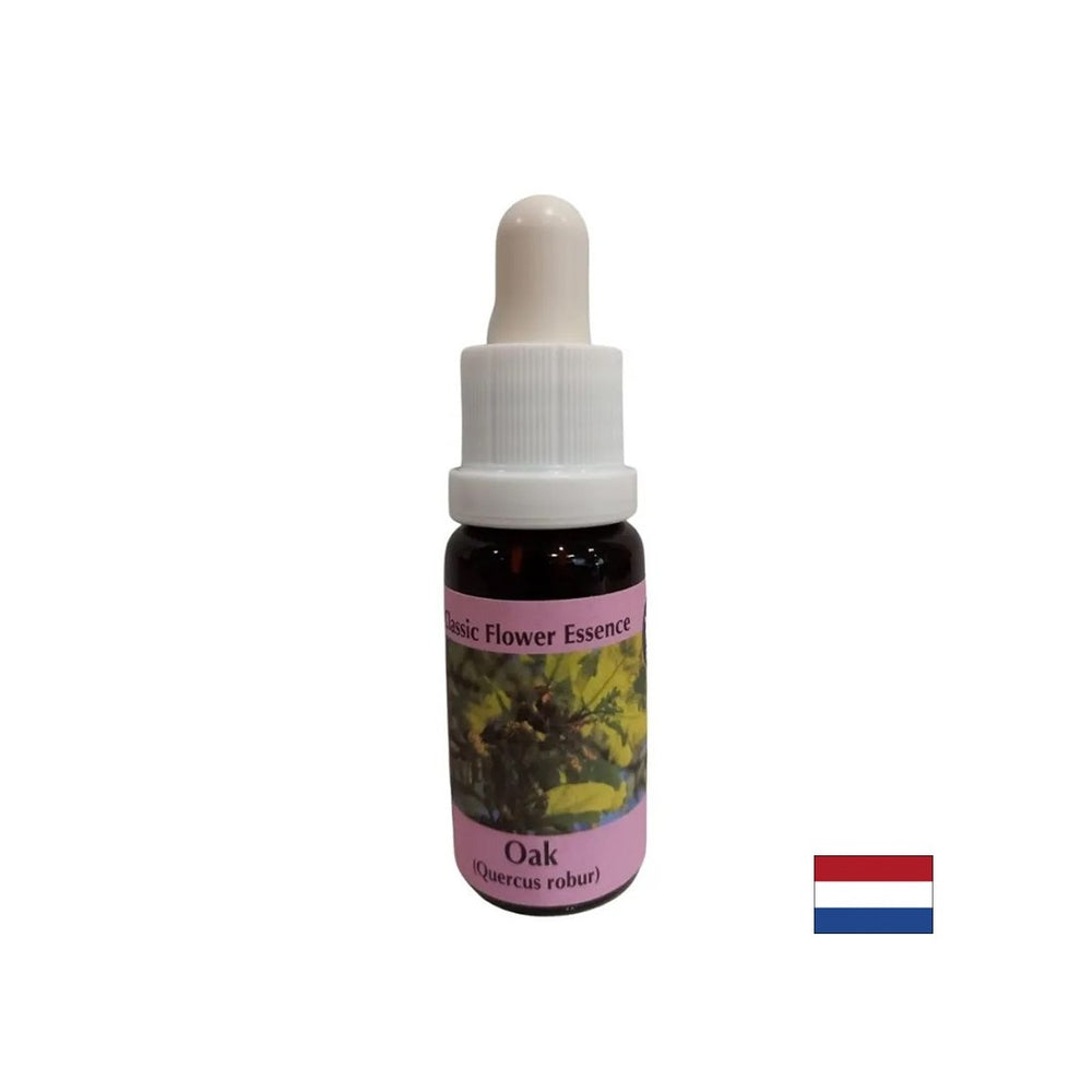ENERGIZIS - OAK ESSENCE br. 22, kapi 15 ml