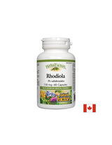 Rhodiola 150 mg - 60 kapsula